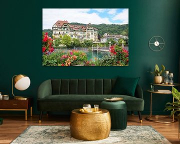 beautiful flowers at riverside Aare river Thun by SusaZoom