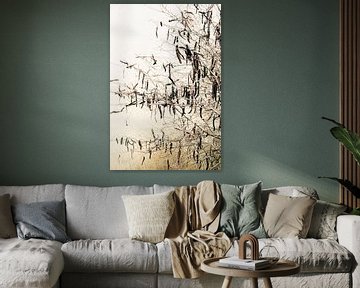 Takken boven de tijdloze stroom van een rivier van Truus Nijland