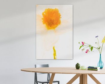 Lichte narcis in ijs van Marc Heiligenstein