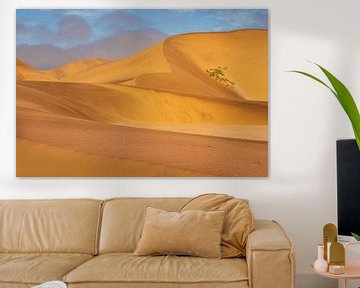 Sand dunes of Swakopmund by Antwan Janssen