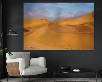 Sand dunes of Swakopmund by Antwan Janssen