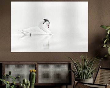 Elegance of the Swan | Black and White by Karina Brouwer