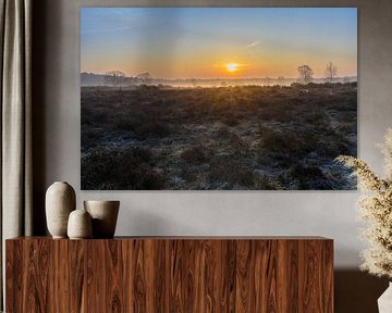 Zonsopkomst boven de Hoorneboegse heide Hilversum