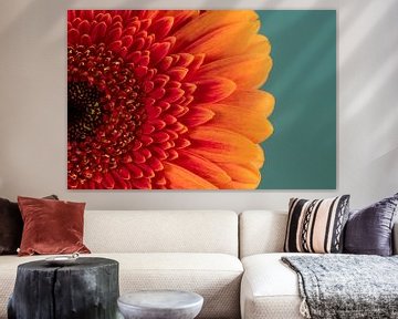 Zomertijd! Zonnige oranje met rode Gerbera van Marjolijn van den Berg