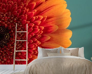 Summer time! Sunny orange with red Gerbera by Marjolijn van den Berg