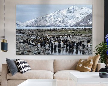 Koninkrijk aan de Rand van de Wereld South Georgia