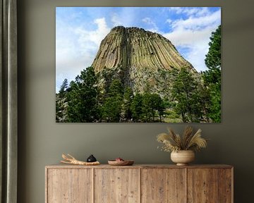Devils Tower Nationaal Monument van Thomas Zacharias