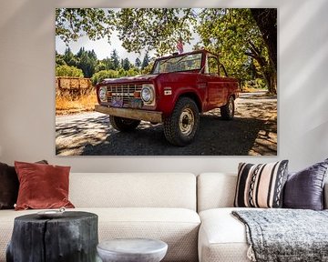 Old Ford Bronco pick-up truck by Stefan Swiontek