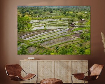 Rijstvelden op Tirta Gangga, Bali, Indonesia van Frans Rombout