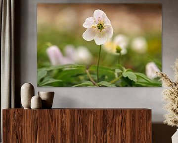 Lente in Bloei van Leon Exterkate