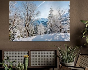 Zonnig uitzicht op de Allgäuer Alpen in de winter van Leo Schindzielorz