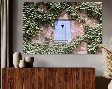 Provençaalse Charme: Blauwe Luiken en Klimop van DsDuppenPhotography