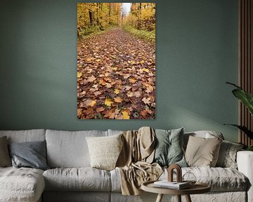 A country road in autumn by Claude Laprise