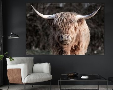 Portret van een Schotse Highland cowboy van Jan Schuler