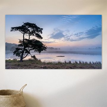 Lever de soleil sur la bruyère de Bakkeveen