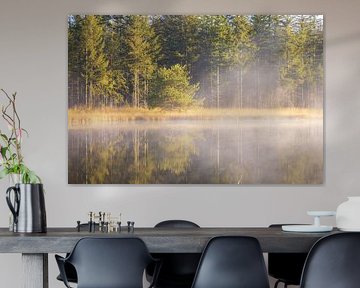Sunrise Drents-Friese Wold - Hoekenbrink (Netherlands) by Marcel Kerdijk