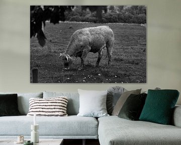 Zwart-wit foto van een grazende koe in de wei van Stefanie Orlati