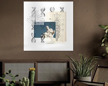 Jacobs ladder van Petra Rekman