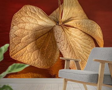 Warm colours: Golden brown dancing hydrangea petals by Marjolijn van den Berg