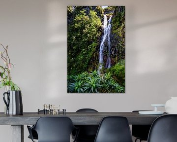 Cascata do Risco von Dirk Rüter