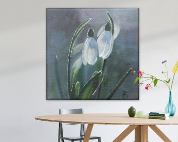 Perce-neige au soleil du matin sur StudiJoannArt
