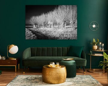 Mystieke rij knotwilgen in infrarood winterlandschap van Hidden Light Gallery