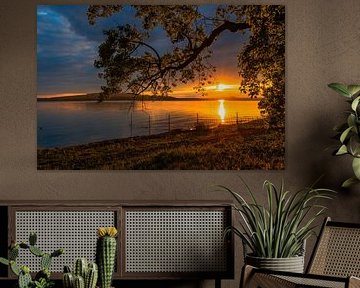 Coucher de soleil sur le lac de Constance sur Hermann Schmider