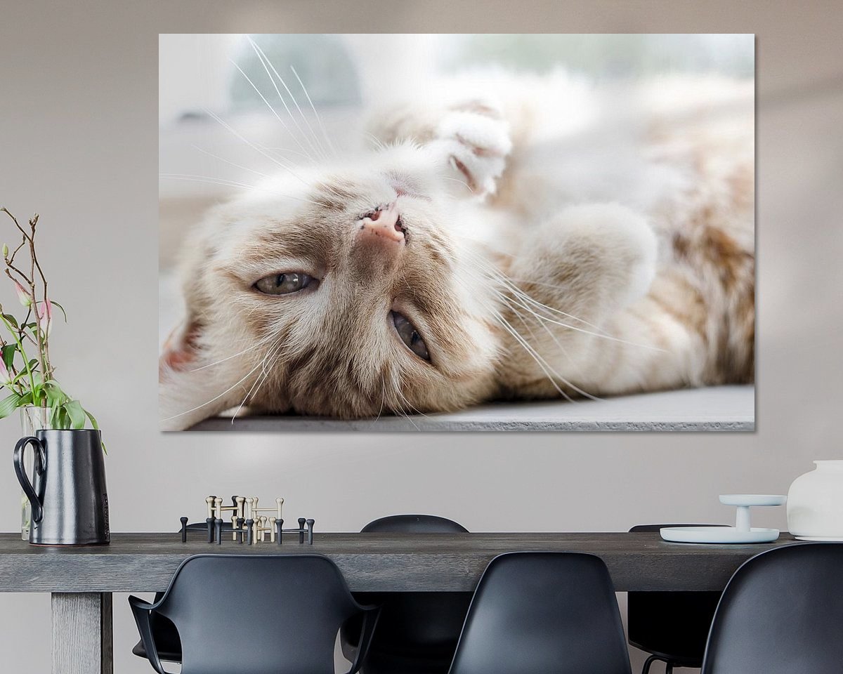 Raumvorschau