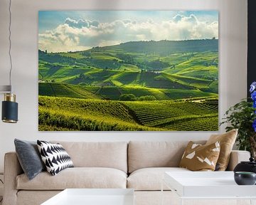 Langhe Wijngaarden. Barolo heuvels, Piemonte, Italië Landschap van Stefano Orazzini