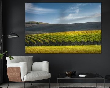 Toscaans herfstlandschap, Montalcino wijngaarden, Italië van Stefano Orazzini