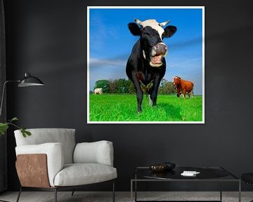 Laughing cow by Mike van Bemmelen