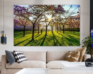 ombres dans le parc fleuri sur peterheinspictures