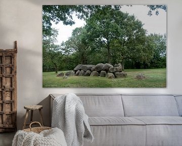 Hunebed / Dolmen D14