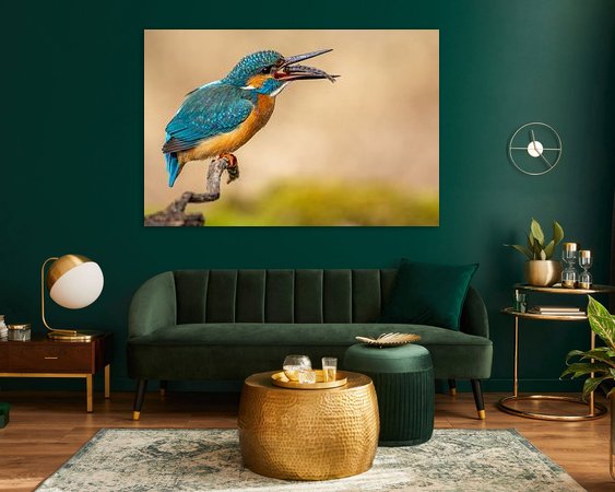 Aperçu de la chambre