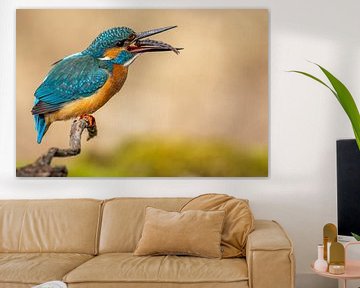 IJsvogel met vis van Dennis Eckert