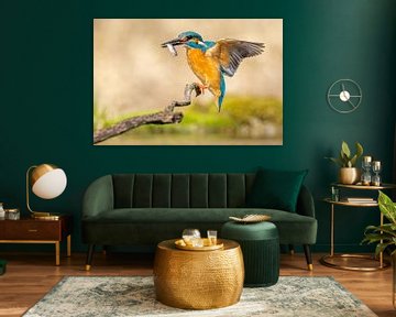 IJsvogel met vis van Dennis Eckert