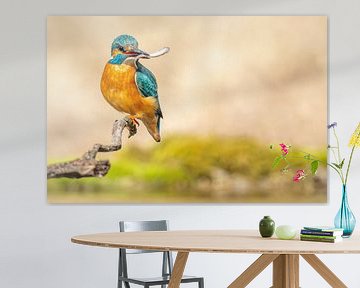 IJsvogel met vis van Dennis Eckert