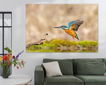 IJsvogel van Dennis Eckert