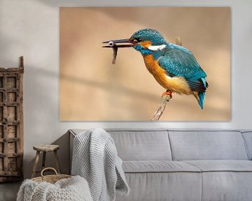 IJsvogel met vis van Dennis Eckert