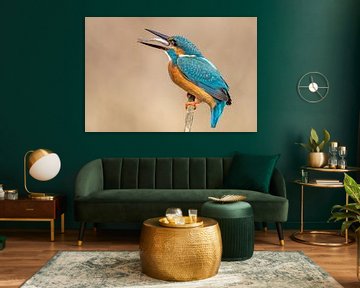IJsvogel met vis van Dennis Eckert