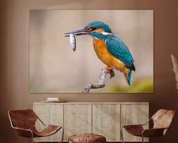 IJsvogel met vis van Dennis Eckert