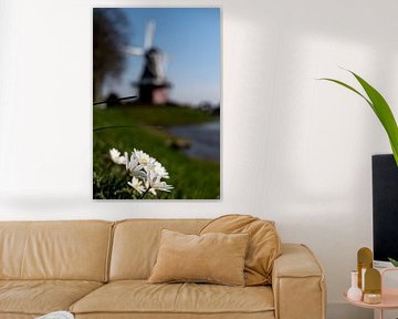 Gänseblümchen und Mühle De Hoop: Natur und Kulturerbe in Dokkum von Zuidfotograaf