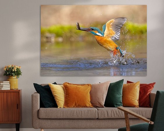 Aperçu de la chambre