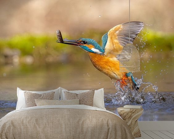 Aperçu de la chambre