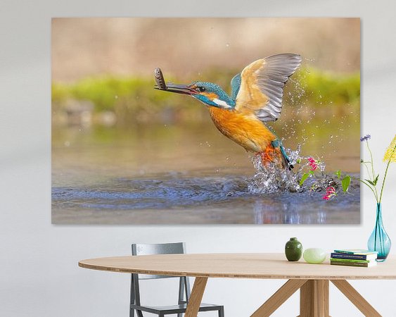 Aperçu de la chambre