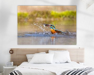 IJsvogel tijdens de vlucht