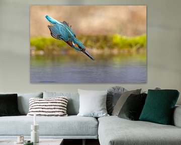 IJsvogel in een duikvlucht van Dennis Eckert