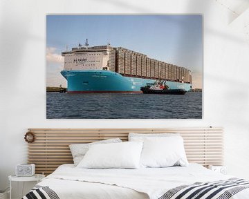 Container ship Adrian Maersk by scheepskijkerhavenfotografie