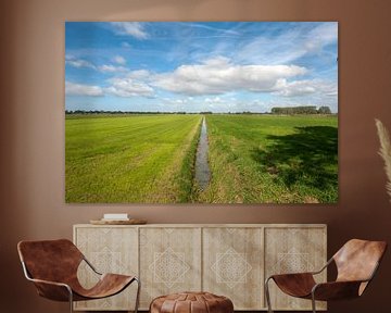 Polder landschap Drenthe van Richard Wareham
