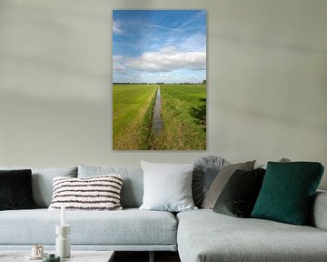 Polder landschap Drenthe van Richard Wareham